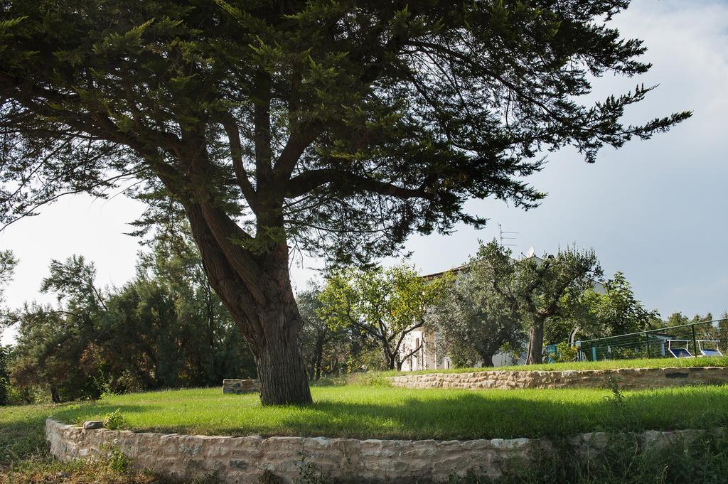 קופרה מריטימה Villa Marchetti מראה חיצוני תמונה
